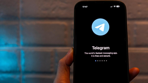 "Чем обусловлен выбор?": министр возмутился блокировкой Telegram в Чечне